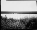 Brigantine, Nj, Paper Negatives