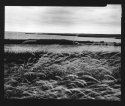 Brigantine, Nj, Contact Prints