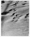 Rs 033 Sand