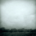 Texaslandscape