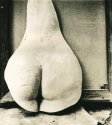 Her Derriere