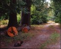 The Driveway