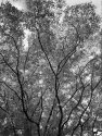 Untitled-scanned-03
