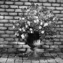 Untitled-scanned-10