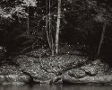 Autumn, Slippery Rock Creek