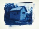 Cyanotypes