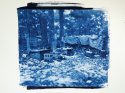 Cyanotypes