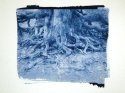 Cyanotypes