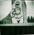 Skate Ramp