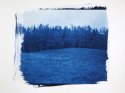 Cyanotypes