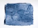 Cyanotypes