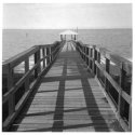 Dock On Mobile Bay