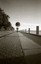 Walk