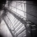 Film Fest Ii - Holga 2