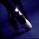 Blue Pointes