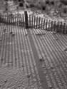 Fence Shadow