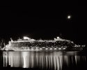 Oasis Of The Seas
