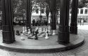Masters Circle