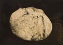 A Nice Crust...