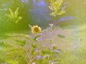 Efpix-0011