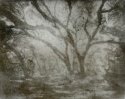 Bromoil - Pinhole - Los Osos Oaks