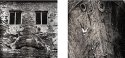 The Ghosts Of Djupavik