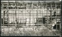 Gonzales, Tx - Building Grid
