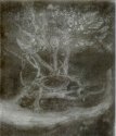 Bromoil - Dead & Live Oak