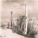 Lith & Toning Workshop Prints