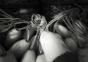Newport Harbor (pinhole)