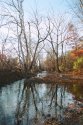 Near And Of The C&o Canal, 15 Nov 09