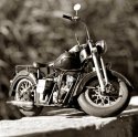 Toy Bike