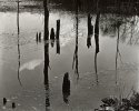 Stick Factory #2
