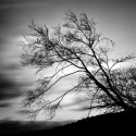 Late Evening, Early Spring On The Neversink River