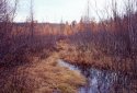 Grandma Lake Outlet