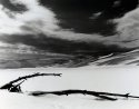 Dunes