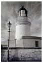 Cromarty Lights