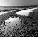 Dawn Shorelines