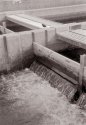 Water Gates And Blackbird