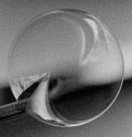 Bubble