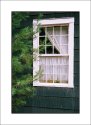 Camp Window
