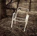 Chair, Camp Michaux