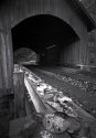 Bridge On Yachats River Road (5x7 Pinhole)