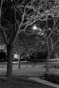 Night, Church