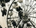 Fun At The Fair