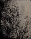 Snow Storm