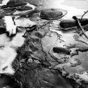 Pine River Ice