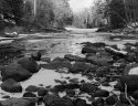 Pine River In December
