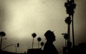 La Pinhole 3