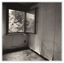 The Window